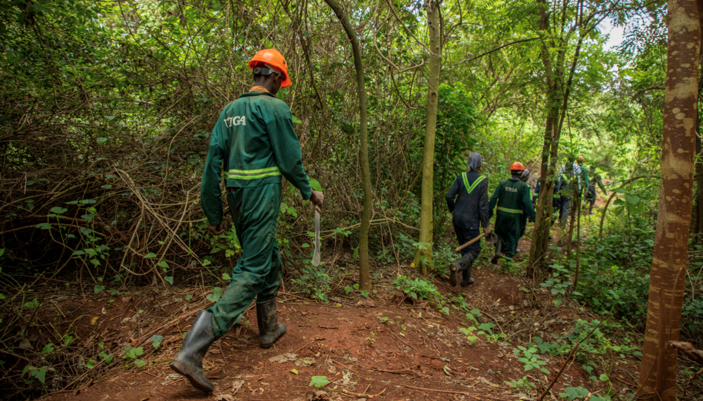 FSC / Smith Oltega - Het West Bugwe Central Forest Reserve Restoration-project heeft 150 inwoners van nabijgelegen lokale gemeenschappen opgeleid om bomen te planten en het bos te beschermen.