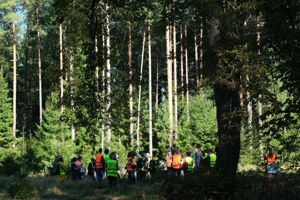 dag 3 jurmula