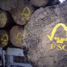 FSC logo op hout