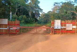 Ruim 350.000 hectare extra FSC-gecertificeerd bos erbij in Kameroen 