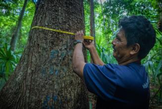 FSC Check