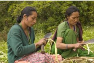 Twee vrouwen maken de Lokta-schors schoon