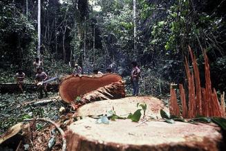 © Andre Bartschi / WWF-Canon © Andre Bartschi / WWF-Canon