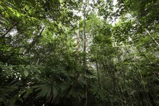 FSC_newsentry_1443188585_image.jpg