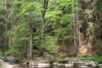 FSC_newsentry_1448373441_image.jpg