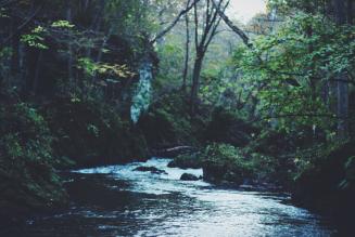 FSC_newsentry_1450174128_image.jpg