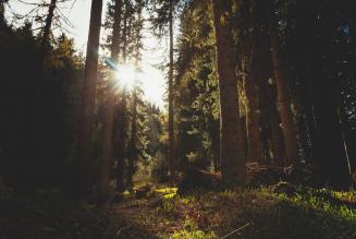 FSC_newsentry_1450177070_image.jpg