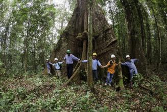 Mijlpaal voor FSC: 1500 bossen gecertificeerd