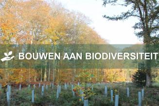 Webinar Bouwen aan Biodiversiteit