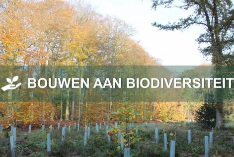 Webinar Bouwen aan Biodiversiteit