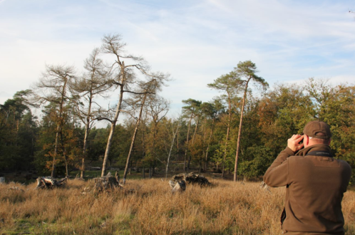 Kroondomein Het Loo - René Olthof aan het werk