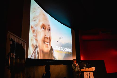 Vertoning Jane Goodall - Reasons for Hope 