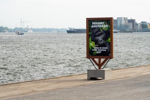 Gemeente Amsterdam als bosbeschermer