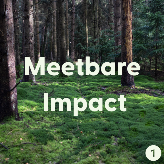 meetbare impact