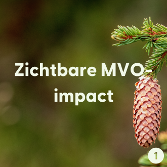 mvo impact