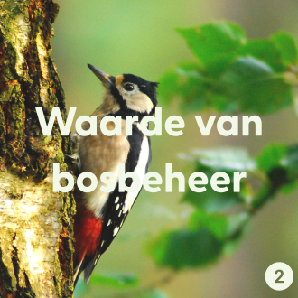 waarde van bosbeheer