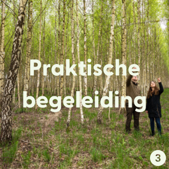 praktische begeleiding