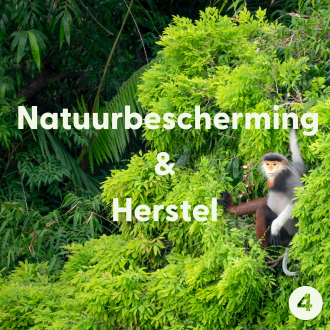 natuurbescherming en herstel