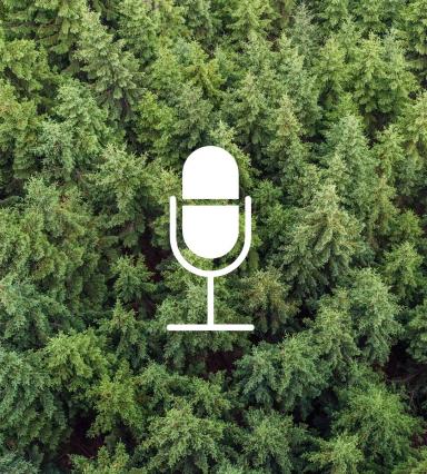 Podcast