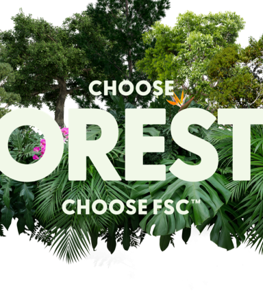 FSC forest week