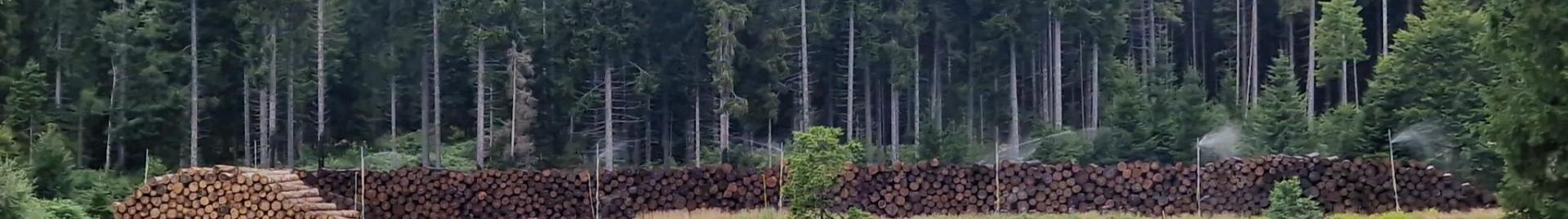zwartewoud hout stapels