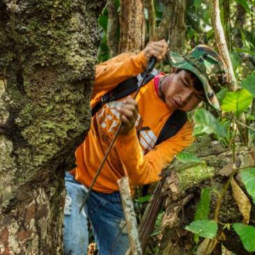 Verantwoord Bosbeheer (Bolivia)