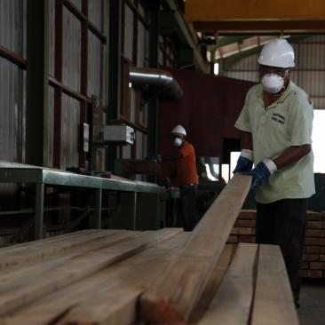 FSC-bosbeheer stelt strenge eisen aan werkomstandigheden van bosarbeiders FSC-bosbeheer stelt strenge eisen aan werkomstandigheden van bosarbeiders