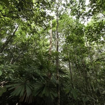FSC_report_1456784731_image.jpg