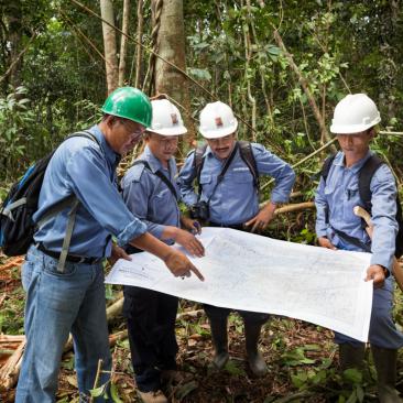 FSC-bosbeheer in Kalimantan, Borneo, Indonesië FSC-bosbeheer in Kalimantan, Borneo, Indonesië