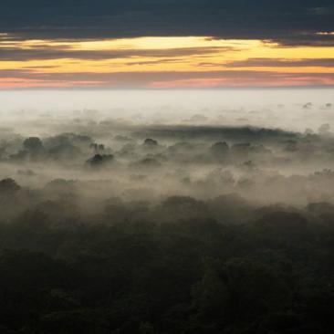 FSC_report_1472829531_image.jpg