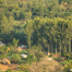West bugwe forest reserve