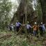 Mijlpaal voor FSC: 1500 bossen gecertificeerd